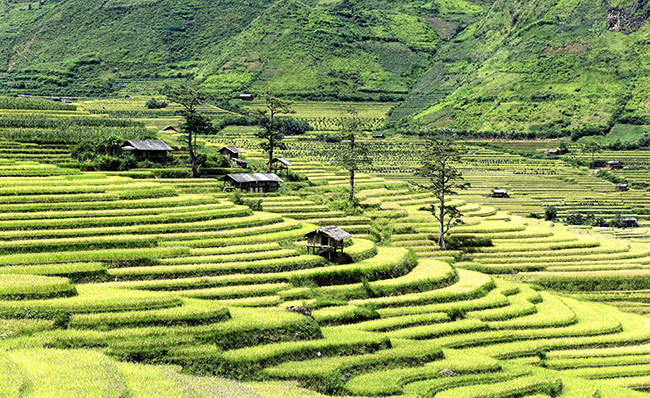 Các tỉnh thuộc vùng Tây Bắc