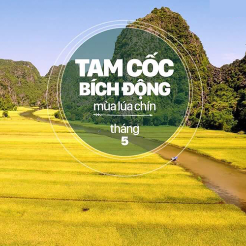 Các điểm tham quan chính mùa đẹp nhất của Việt Nam